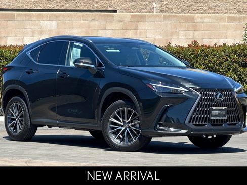 Certified 2025 Lexus NX 350h AWD w/ Cold Area Package image 2
