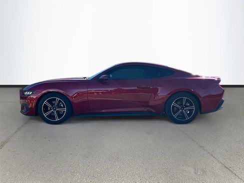 Used 2024 Ford Mustang Premium image 4