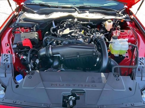 New 2026 Ford Mustang Coupe w/ Mustang Nite Pony Package image 14