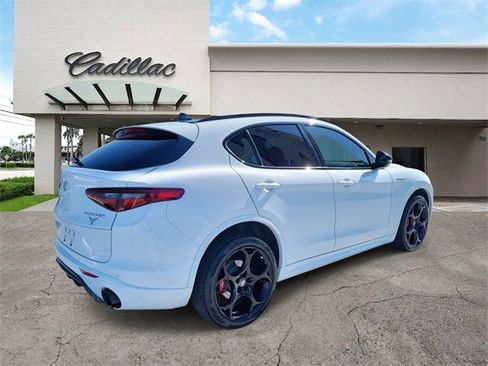 Used 2023 Alfa Romeo Stelvio Veloce image 5