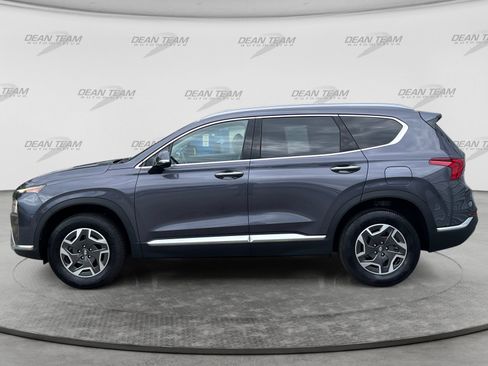 Used 2022 Hyundai Santa Fe Blue AWD/4WD image 4