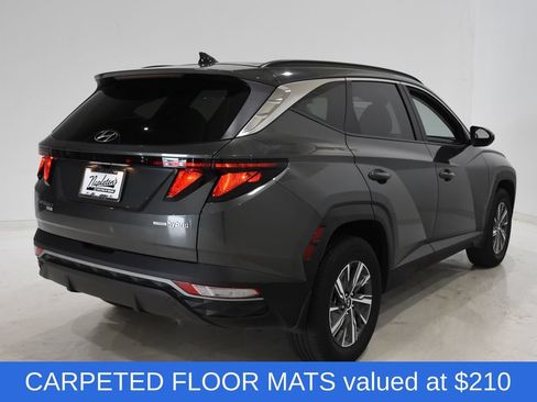 Used 2024 Hyundai Tucson Blue AWD/4WD image 5