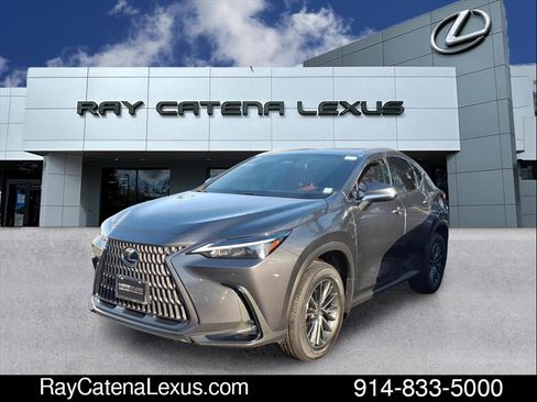 Certified 2024 Lexus NX 350 AWD w/ Premium Package image 1