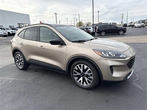 Used 2020 Ford Escape SE Sport image 8