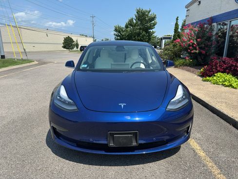 Used 2019 Tesla Model 3 AWD/4WD image 8
