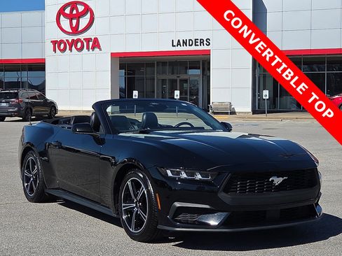 Used 2024 Ford Mustang Premium image 1