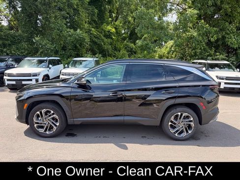 Used 2025 Hyundai Tucson Limited AWD/4WD image 6