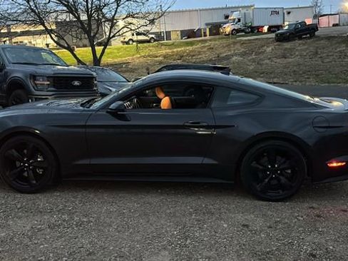 Used 2023 Ford Mustang EcoBoost w/ Equipment Group 101A image 4