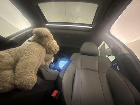 Used 2023 Subaru Outback Limited image 17