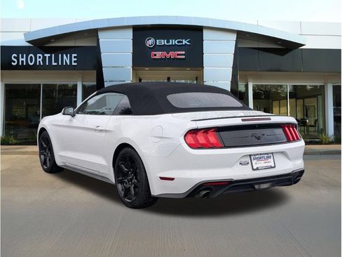 Used 2019 Ford Mustang Premium w/ Equipment Group 201A RWD image 5