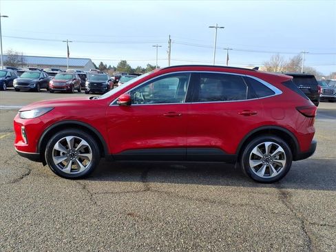 Used 2024 Ford Escape Platinum w/ Premium Technology Package image 4