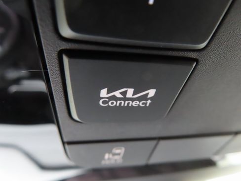 New 2026 Kia Carnival image 13