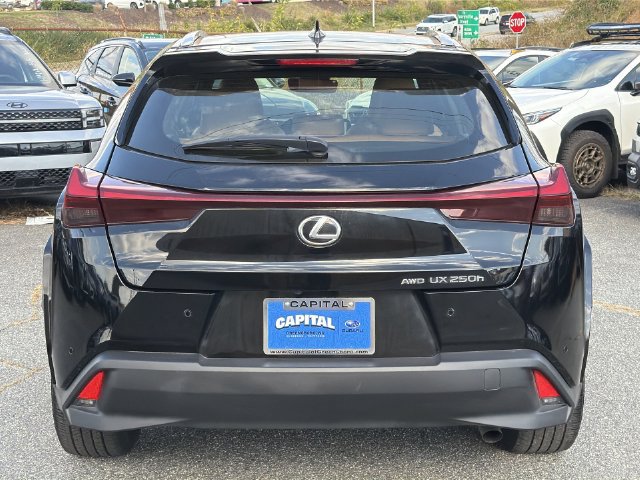 Used 2023 Lexus UX 250h AWD w/ Premium Package image 12