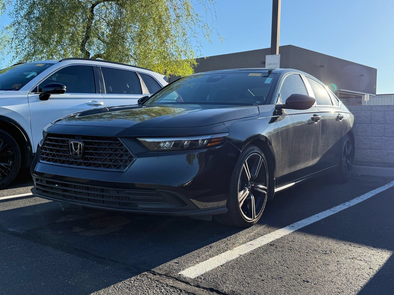 Used 2024 Honda Accord Sport image 2