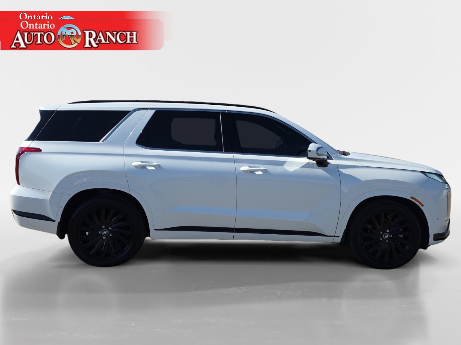 Used 2025 Hyundai Palisade Calligraphy AWD/4WD image 6