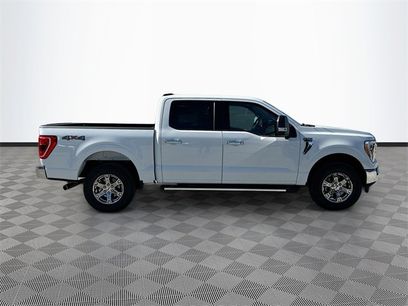 Used 2023 Ford F150 XLT w/ Equipment Group 302A High