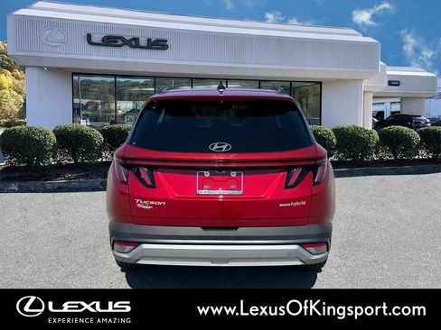 Used 2025 Hyundai Tucson Limited image 4