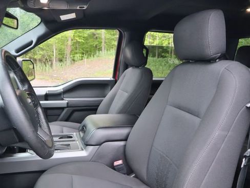 Used 2019 Ford F150 XLT w/ Equipment Group 302A Luxury AWD/4WD image 9