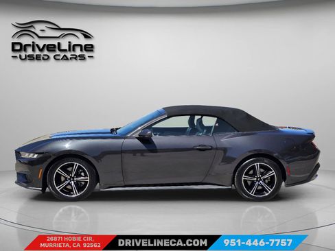 Used 2024 Ford Mustang Premium image 7