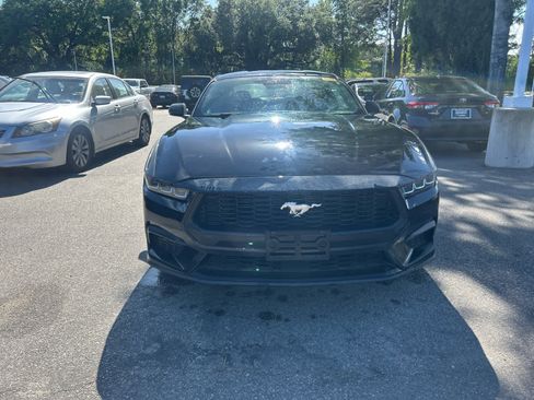 Used 2024 Ford Mustang Premium image 7