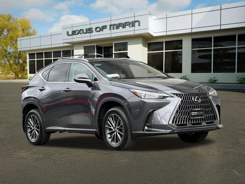 Used 2025 Lexus NX 350h AWD w/ Cold Area Package image 7