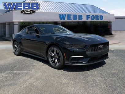 New 2025 Ford Mustang Premium w/ Wheel & Stripe Package