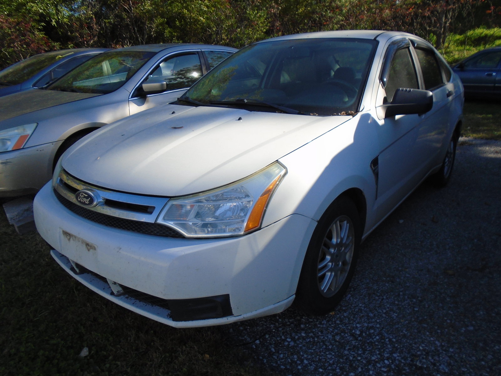 Used 2011 Ford Focus SE w/ 201A Rapid Spec Order Code FWD image 2