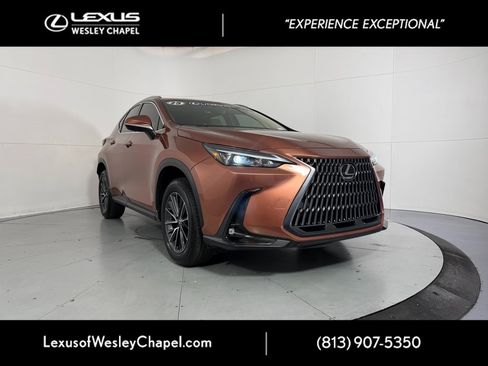 Used 2025 Lexus NX 250 FWD w/ Premium Package image 1