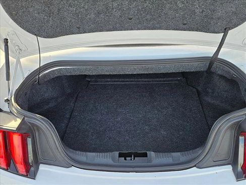 Used 2019 Ford Mustang Premium image 6