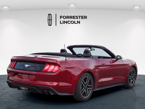 Used 2019 Ford Mustang Premium w/ Equipment Group 201A RWD image 3