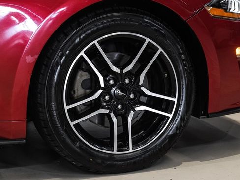 Used 2019 Ford Mustang Premium RWD image 48