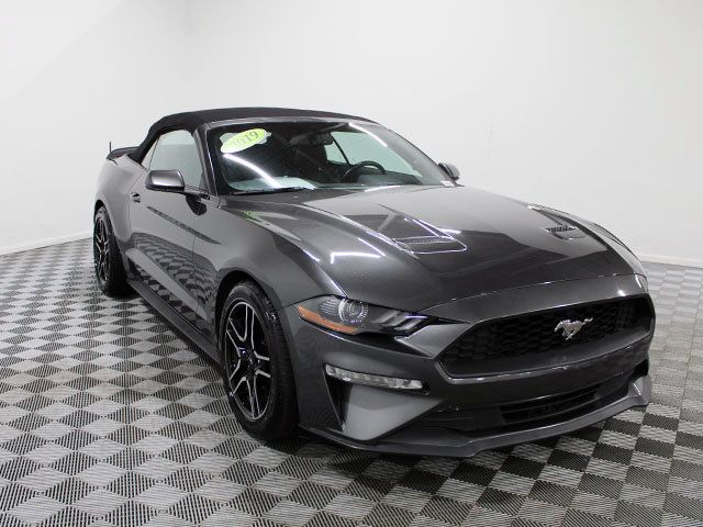 Used 2019 Ford Mustang Premium RWD image 9