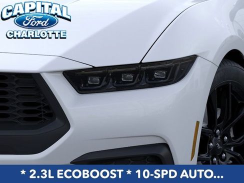 New 2026 Ford Mustang Coupe w/ Mustang Nite Pony Package RWD image 19