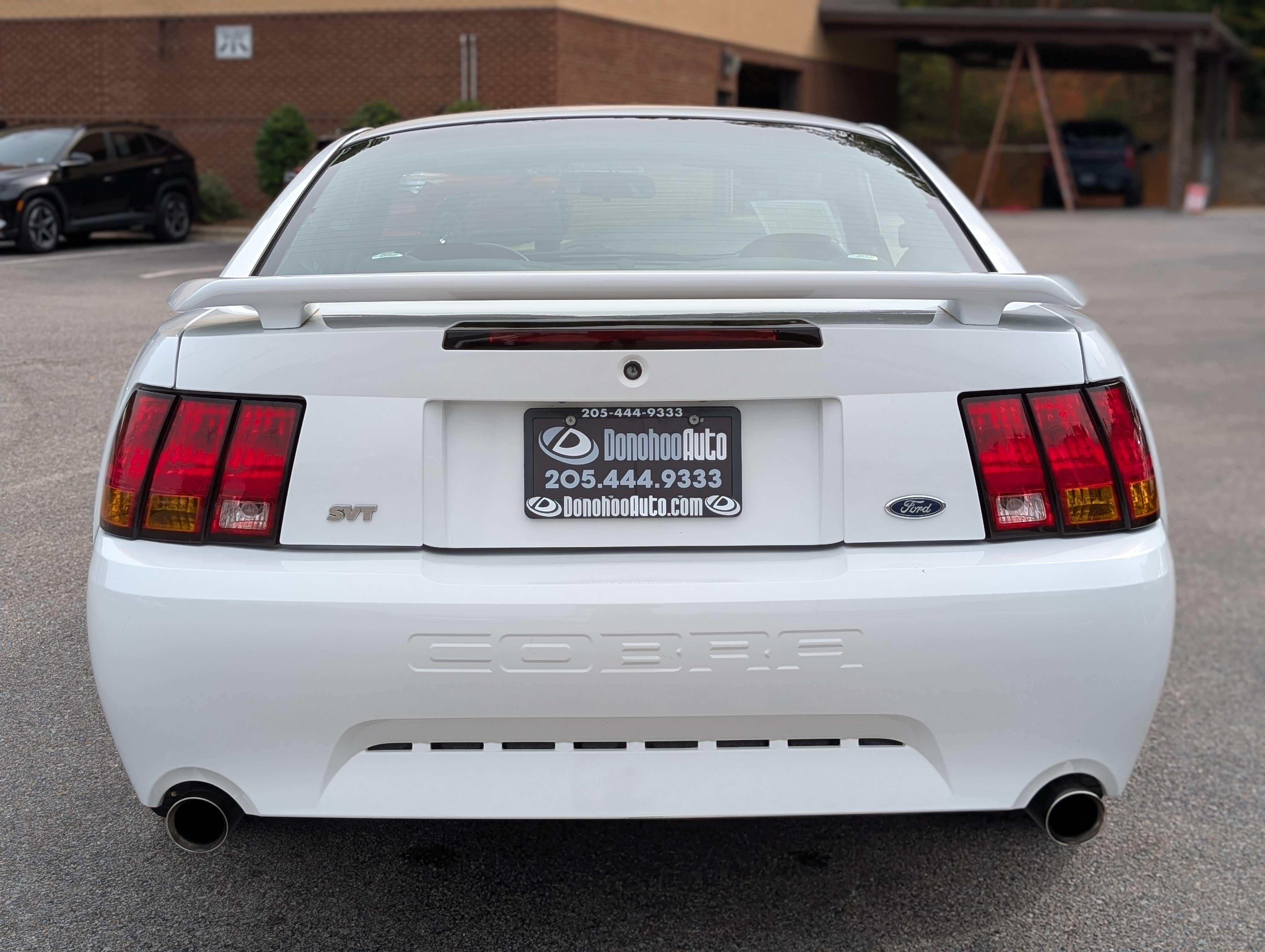Used 2001 Ford Mustang Cobra RWD image 7