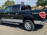 Used 2014 Ford F150 XLT w/ Equipment Group 302A Luxury image 6