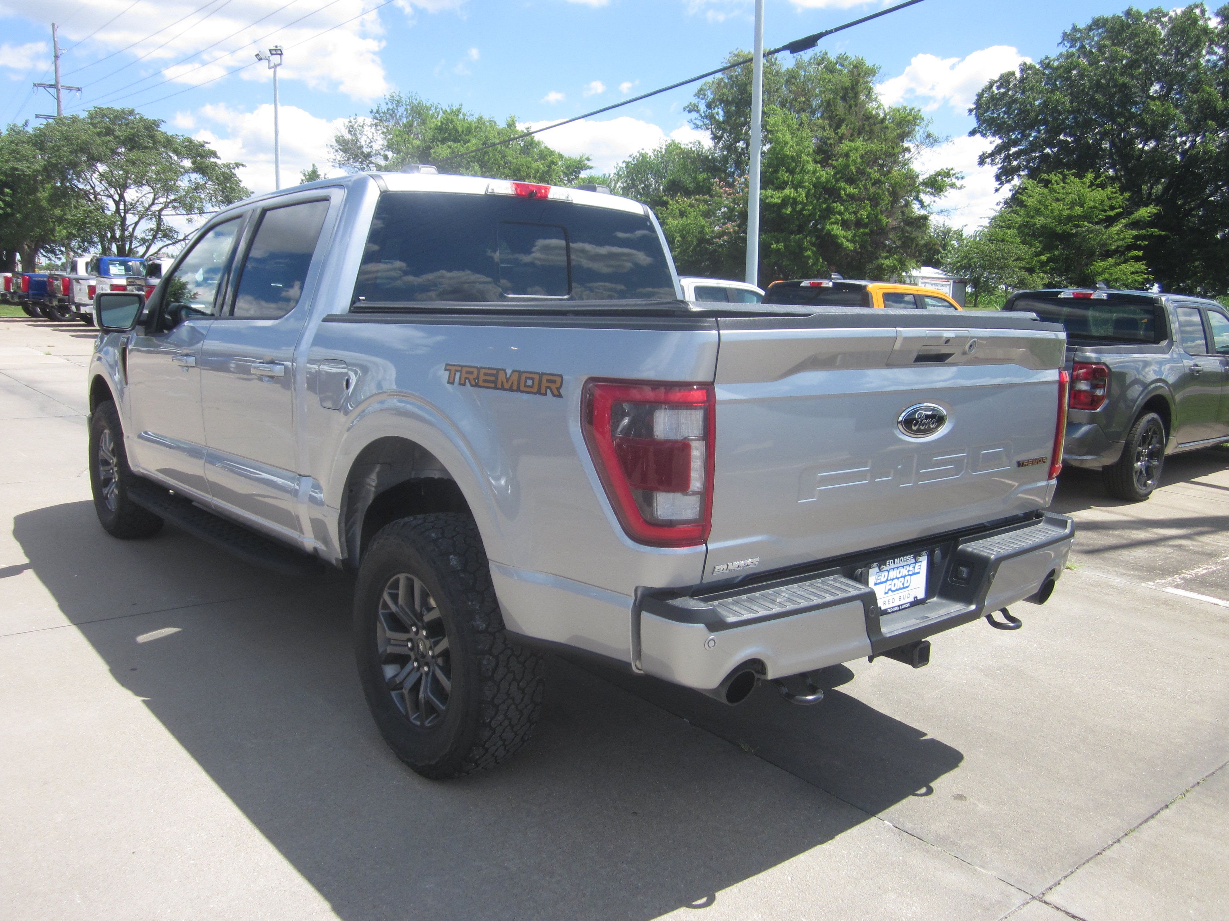 Used 2022 Ford F150 Tremor w/ Equipment Group 402A High AWD/4WD image 4