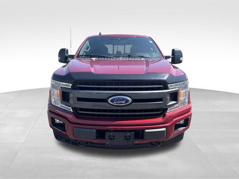 Used 2019 Ford F150 XLT w/ Equipment Group 302A Luxury AWD/4WD image 2