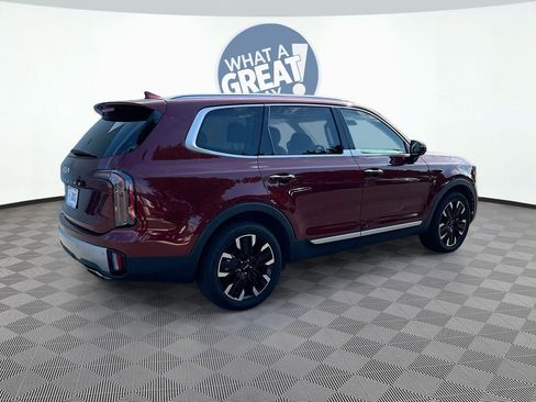 Used 2023 Kia Telluride SX image 6