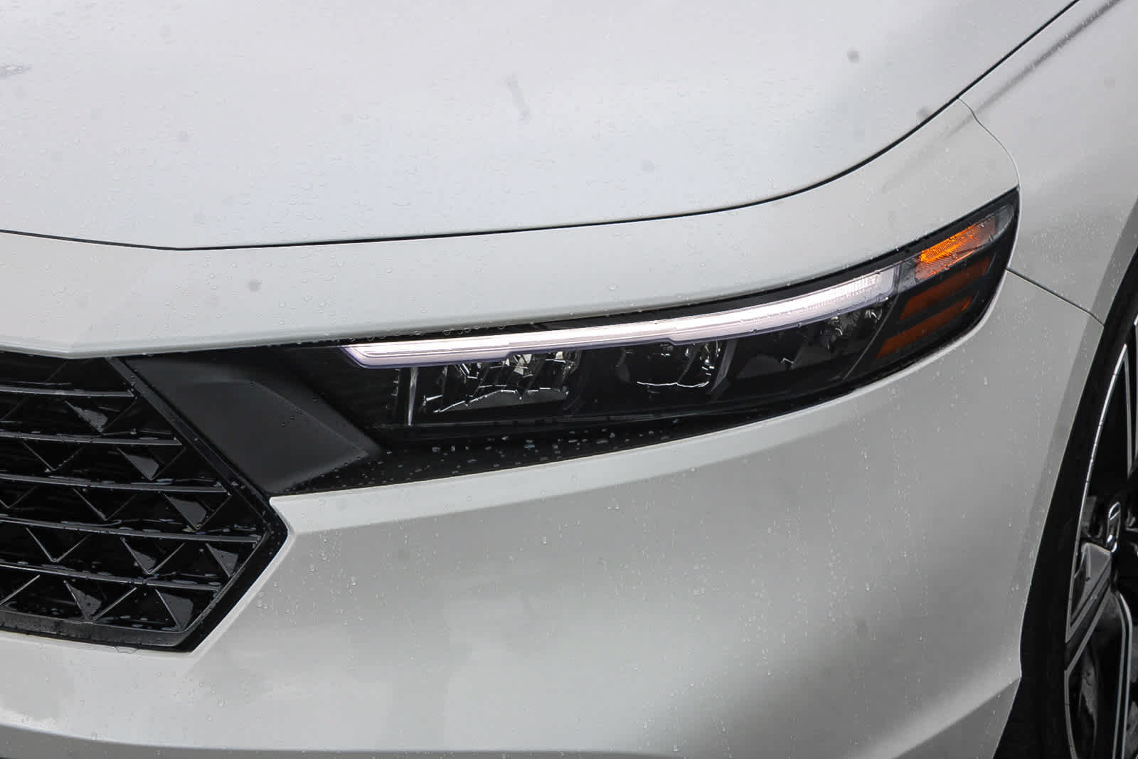 Certified 2026 Honda Accord Sport image 10