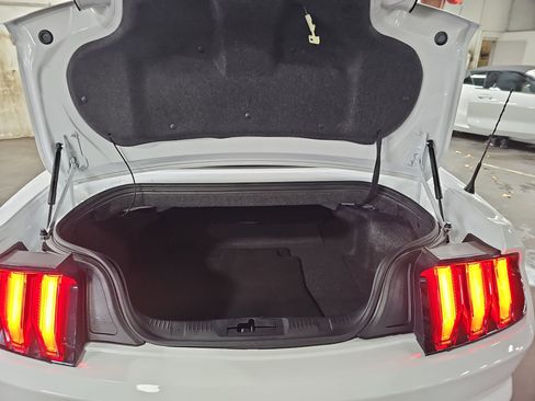 Used 2023 Ford Mustang Convertible w/ Equipment Group 101A image 14