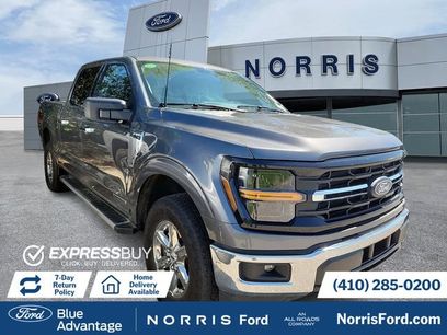 Used 2025 Ford F150 XLT w/ Equipment Group 301A Standard