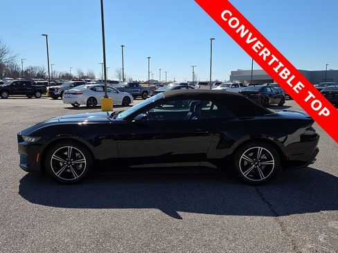 Used 2024 Ford Mustang Premium image 3