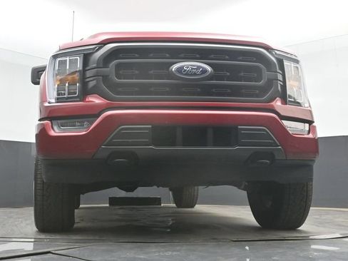 Used 2021 Ford F150 XLT w/ Equipment Group 302A High AWD/4WD image 42