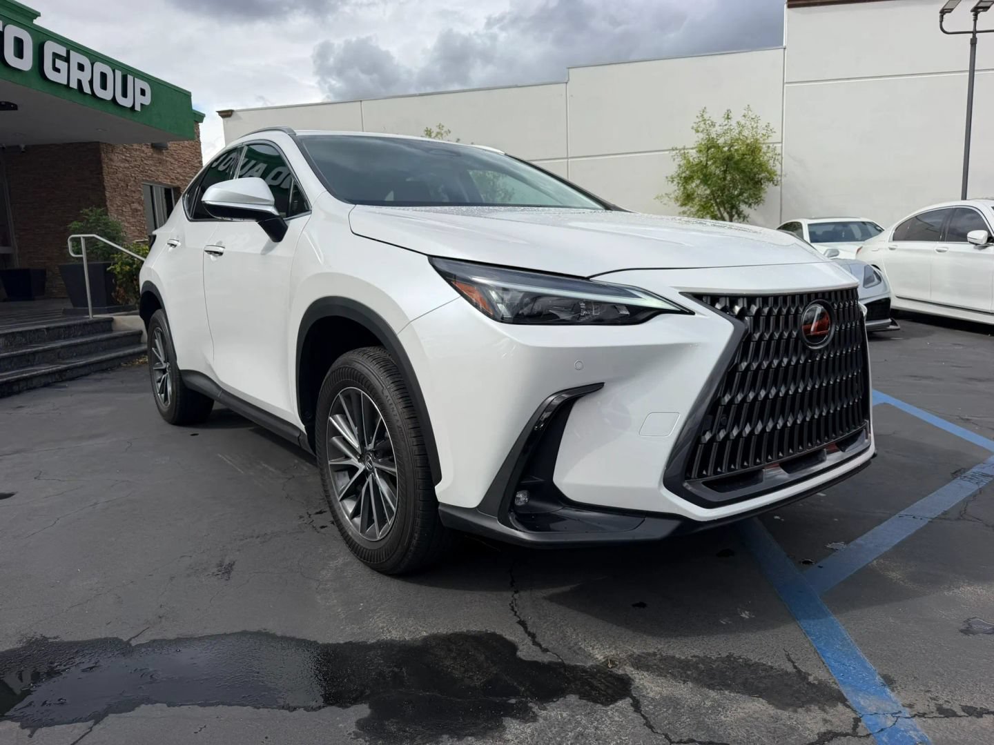 Used 2025 Lexus NX 350h AWD w/ Cold Area Package image 4