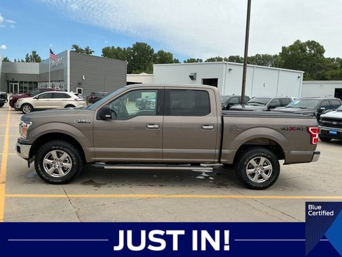 Used 2019 Ford F150 XLT w/ Equipment Group 302A Luxury AWD/4WD image 2