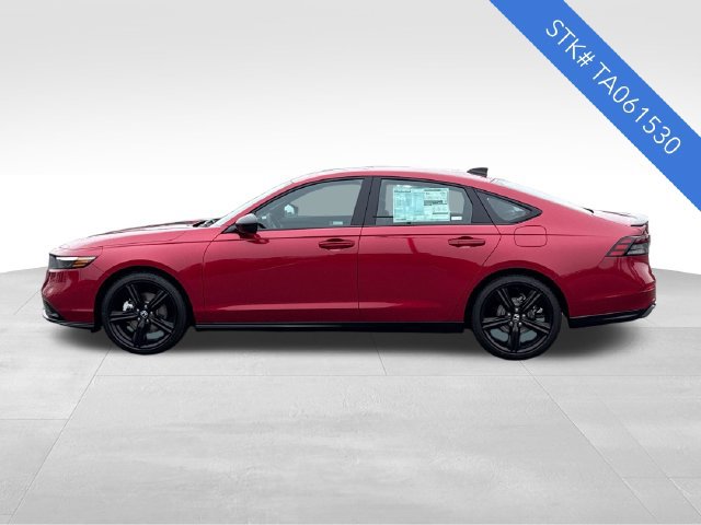 New 2026 Honda Accord Sport image 4