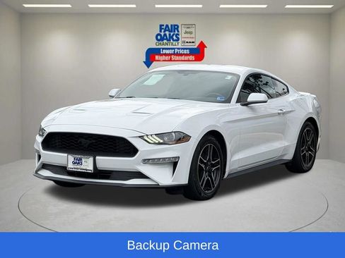 Used 2019 Ford Mustang Coupe w/ Equipment Group 101A RWD image 3