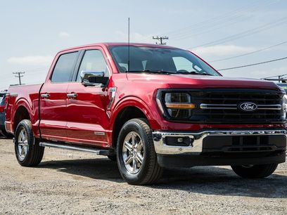 Used 2024 Ford F150 XLT w/ Equipment Group 302A MID