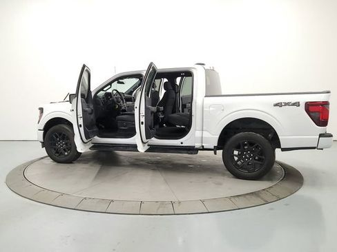 Used 2025 Ford F150 STX w/ STX Black Appearance Package image 13