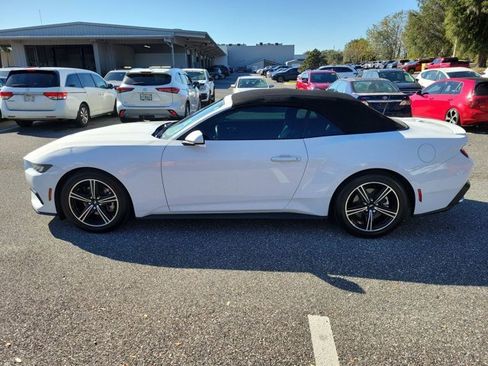 Used 2024 Ford Mustang Premium image 13